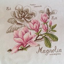 Работа «№66531»