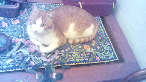 Работа «№66543»