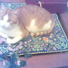 Работа «№66543»