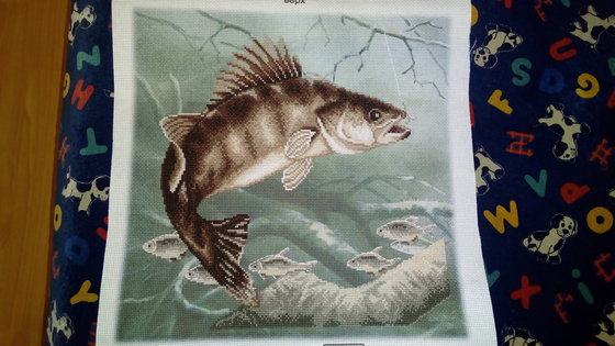 Работа «Судак»