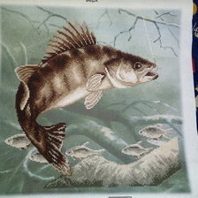 Работа «Судак»