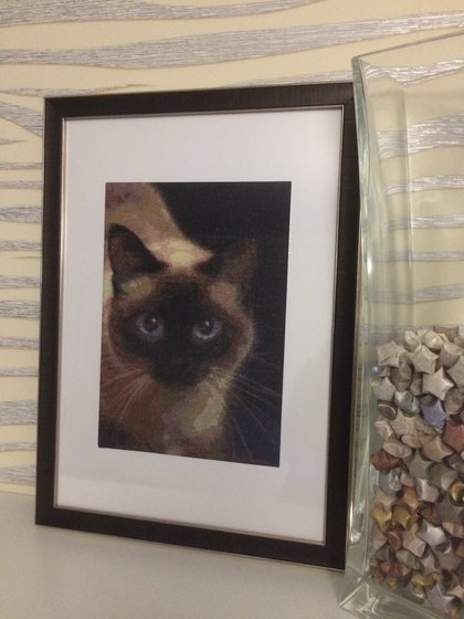 Работа «Моя кошечка»