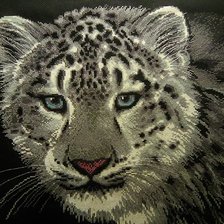 Работа «Снежный барс (автопортрет;))»