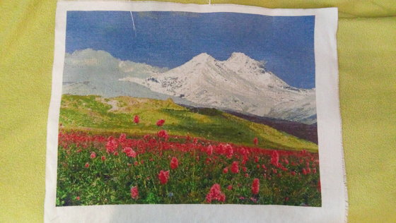 Работа «Горы и цветы»