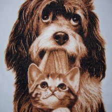 Работа «Мы сами не местные....»