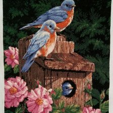 Работа «ЛЮБИМЫЕ ПТИЧКИ»