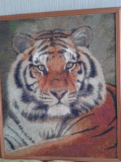 Работа «Красавец тигр»