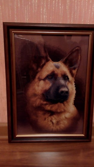 Работа «Мухтар»