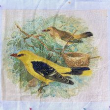 Работа «Иволги»