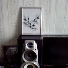 Работа «Котики»