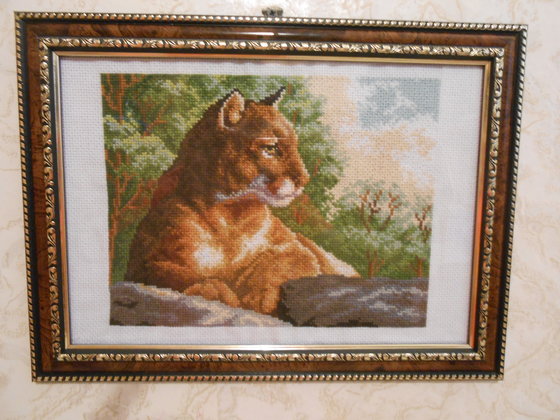 Работа «Пума»