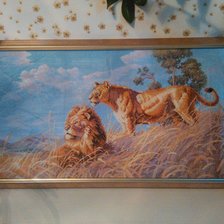 Работа «"Африканские львы"»