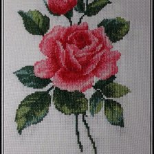 Работа «РОЗА»