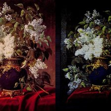 Работа «Оригинал картины "Белая сирень" и вышивка (канва)»