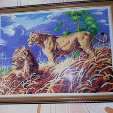 Работа «№67354»