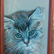 Работа «Зеленоглазое чудо»