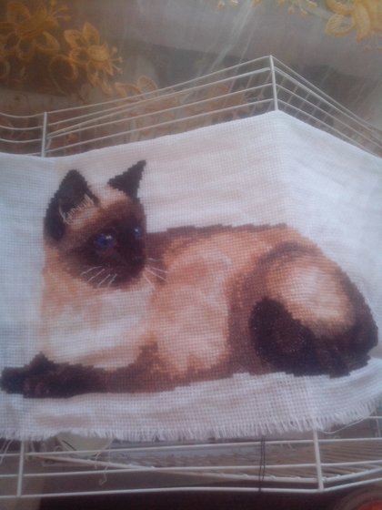 Работа «сегодня закончила»