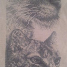 Работа «Львица с малышом»