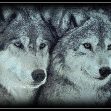 Работа «Пара волков»