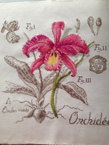 Работа «№67495»