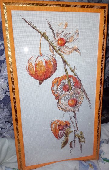 Работа «Физалис»