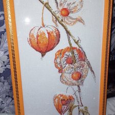 Работа «Физалис»