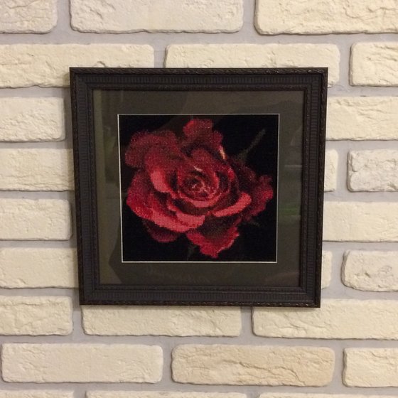 Работа «Роза на черном фоне»