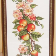 Работа «Композиция с яблоками»