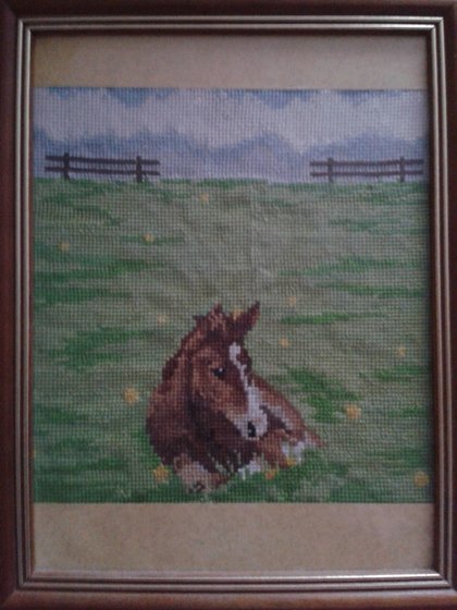 Работа «Он жеребенок»