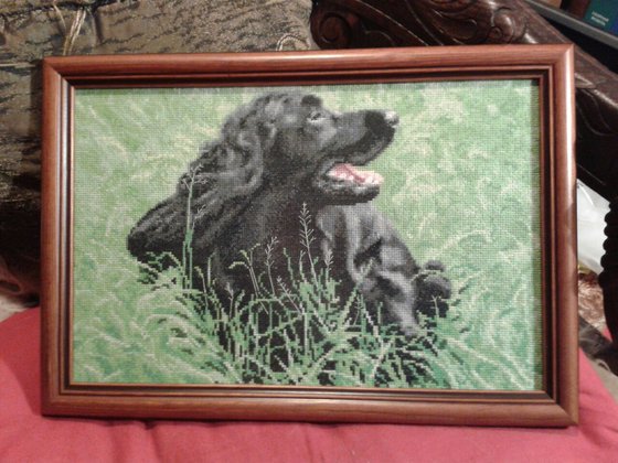 Работа «Рокки»