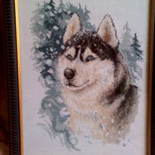 Работа «Ж-1156" Верный хаски" Panna.»