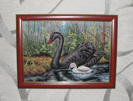 Работа «Черный Лебедь»