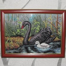 Работа «Черный Лебедь»