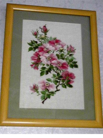 Работа «Риолис 809 "Шиповник"»