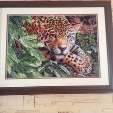 Работа «Леопард на отдыхе»