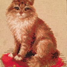 Работа «Котик»