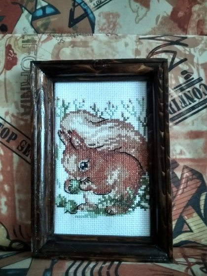 Работа «Набор Кларт "Белка"»