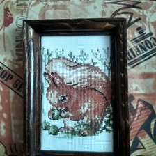 Работа «Набор Кларт "Белка"»