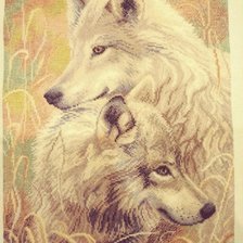 Работа «Волчья нежность»