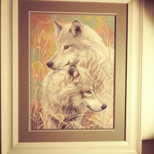 Работа «Волчья нежность»