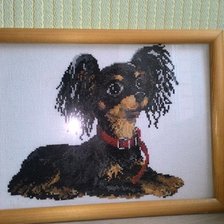 Работа «Тойтерьер»