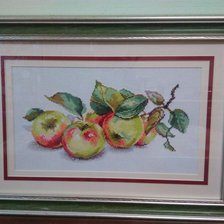 Работа «Яблоки»