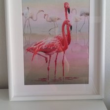 Работа «Фламинго»