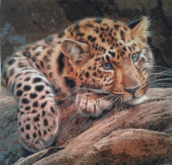 Работа «Мой Лапочка.»