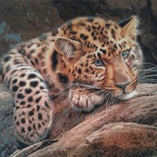 Работа «Мой Лапочка.»