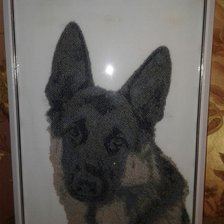 Работа «Овчарка»