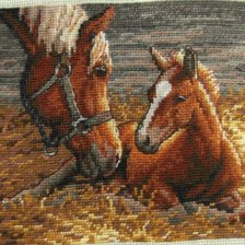 Работа «Доброе утро»