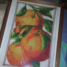 Работа «апельсины для свекрови»