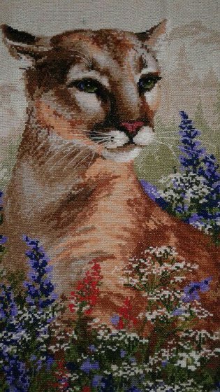 Работа «№68569»