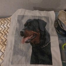 Работа «Собачка»